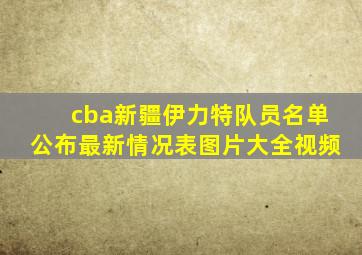 cba新疆伊力特队员名单公布最新情况表图片大全视频