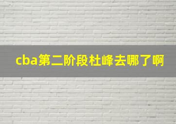 cba第二阶段杜峰去哪了啊