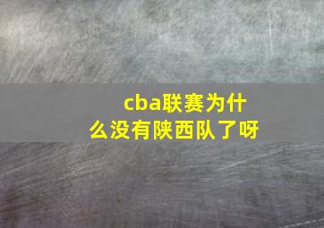 cba联赛为什么没有陕西队了呀