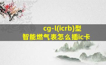 cg-l(icrb)型智能燃气表怎么插ic卡