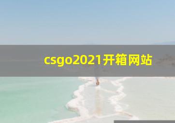 csgo2021开箱网站