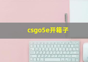 csgo5e开箱子