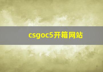 csgoc5开箱网站