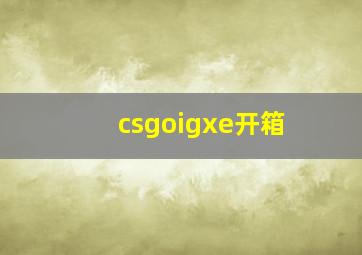 csgoigxe开箱