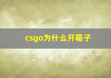 csgo为什么开箱子