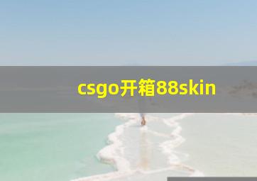 csgo开箱88skin