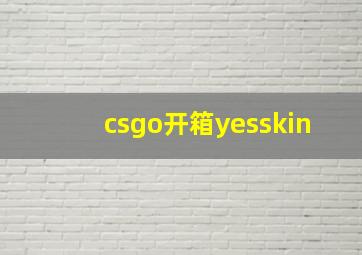 csgo开箱yesskin