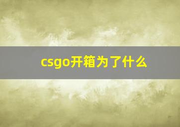 csgo开箱为了什么