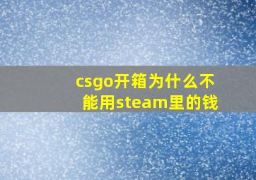 csgo开箱为什么不能用steam里的钱