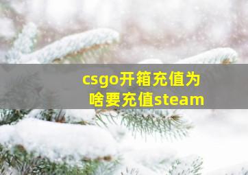 csgo开箱充值为啥要充值steam