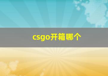 csgo开箱哪个