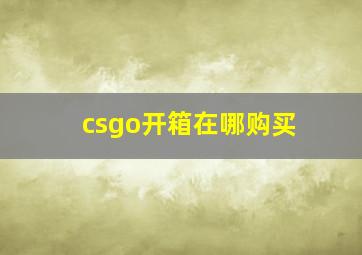 csgo开箱在哪购买