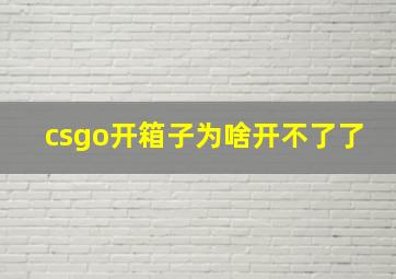 csgo开箱子为啥开不了了