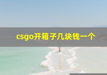 csgo开箱子几块钱一个