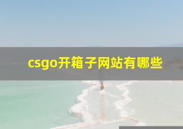 csgo开箱子网站有哪些