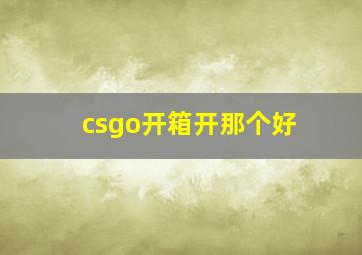 csgo开箱开那个好