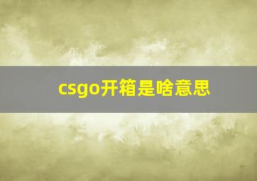 csgo开箱是啥意思