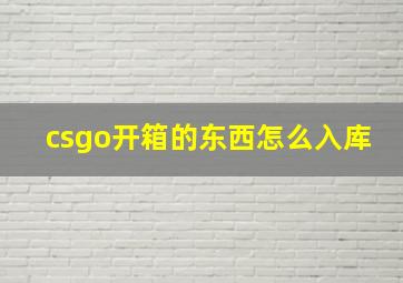 csgo开箱的东西怎么入库