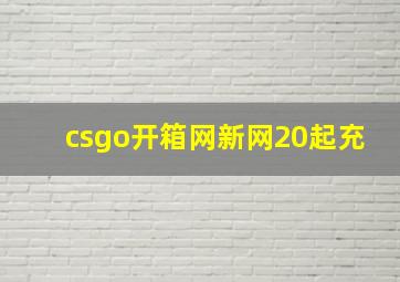 csgo开箱网新网20起充