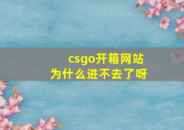 csgo开箱网站为什么进不去了呀