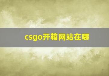 csgo开箱网站在哪