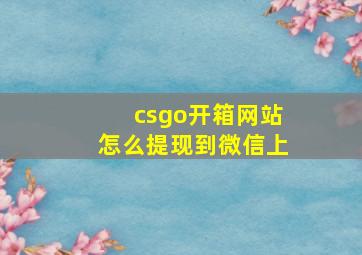 csgo开箱网站怎么提现到微信上