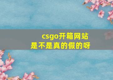 csgo开箱网站是不是真的假的呀