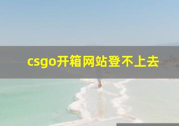 csgo开箱网站登不上去