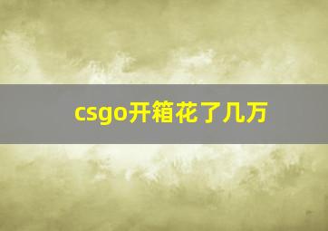 csgo开箱花了几万