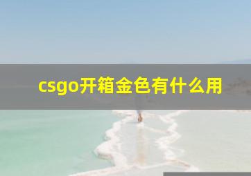 csgo开箱金色有什么用