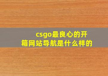 csgo最良心的开箱网站导航是什么样的