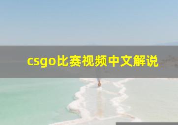 csgo比赛视频中文解说