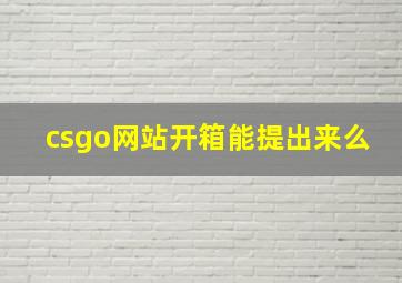 csgo网站开箱能提出来么