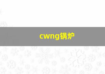 cwng锅炉