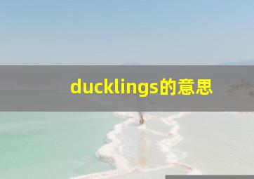 ducklings的意思