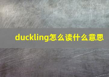 duckling怎么读什么意思