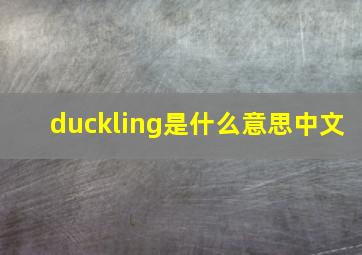 duckling是什么意思中文