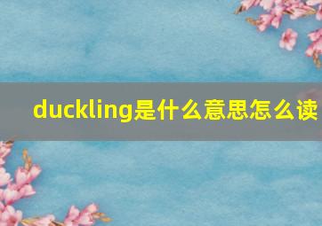 duckling是什么意思怎么读