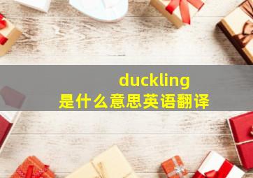 duckling是什么意思英语翻译