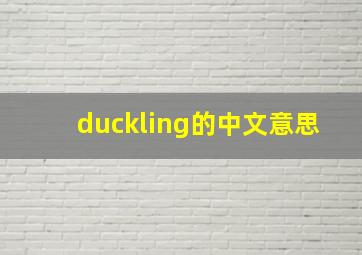 duckling的中文意思