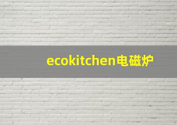 ecokitchen电磁炉