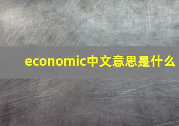 economic中文意思是什么