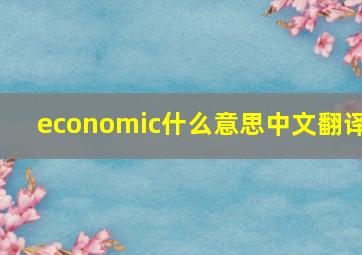 economic什么意思中文翻译