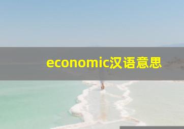 economic汉语意思