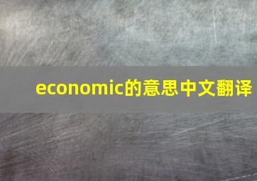 economic的意思中文翻译