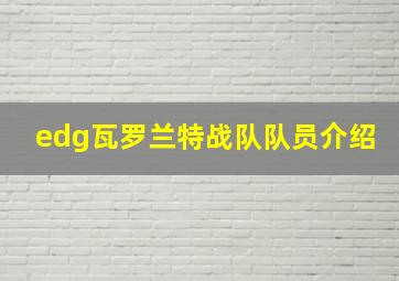 edg瓦罗兰特战队队员介绍