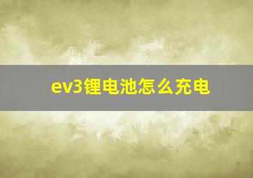 ev3锂电池怎么充电