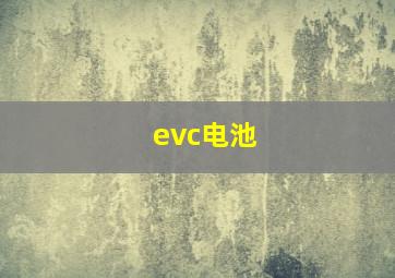 evc电池