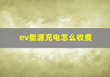 ev能源充电怎么收费