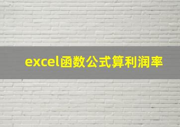 excel函数公式算利润率